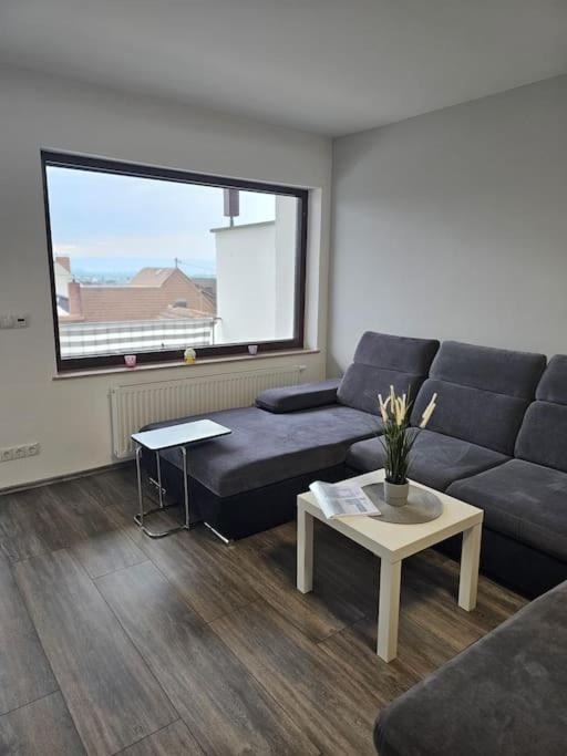 Gemuetliche Ferienwohnung Mulheim-Karlich Luaran gambar